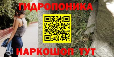 apvp Вышний Волочёк