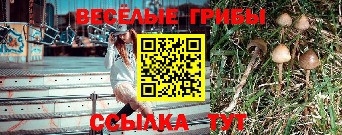 Волжск  Псилоцибиновые грибы прущие грибы  Вход с VPN  Псилоцибиновые грибы мухоморы 